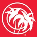 NICERIDE logo