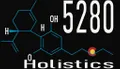 5280Holistics logo