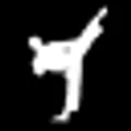 All American Martial Arts Supply logo