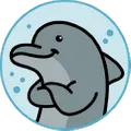 All Everything Dolphin logo