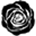 Amelia Rose Design logo