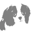 Arnold & Henry logo