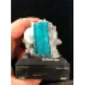 Astro Gallery Of Gems logo