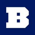 Baby Bull Boxing logo