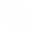 Banned Skate Shop logo