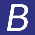 BannerBuzz logo