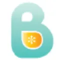 Bellefit Maternity logo