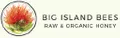 Big Island Bees logo