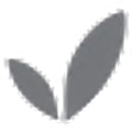 Boody logo