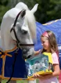 Breyer Horses logo