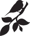 bulletsintojewelry logo