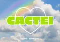 CACTEI logo