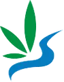 Car Care logo