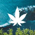 Celestial Hemp Company logo