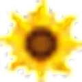 Chicago Flower Shop logo