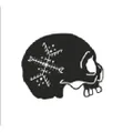 Child of Wild logo
