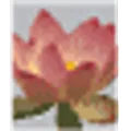 CLIENTELE logo