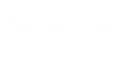 Combat Flip Flops logo