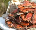 CrabPlace.com logo