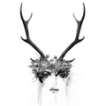 Deer Women logo