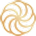 Delfina Skin logo