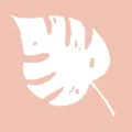 Derm to Door logo