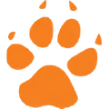 Dingo Trails logo