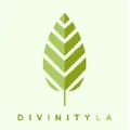 DivinityLA logo