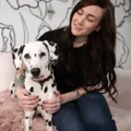 DogDog Goose logo