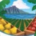 Down to Earth Organic logo