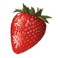 DVO Enterprises logo