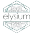 Elysium Medical Group logo