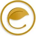 Eve Organics Beauty logo