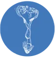 Freedive Nomad logo