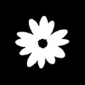 Gianni Kavanagh logo
