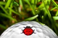 Golf Dotz logo