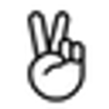 GREY + WILD logo