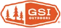 Gsi logo