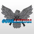 Gunsamerica logo