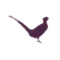 Harrison Cropper logo