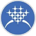 Icing On The Ring logo