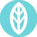 Mint Wellness logo