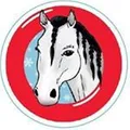 INOSTREAM, logo