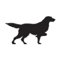 Irish Setter Boots logo