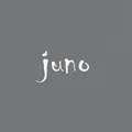 Juno Studio logo