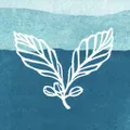 Kickapoo Coffee logo