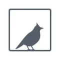 Lark London Logo