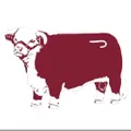 Lazy J Ranch Wear logo