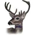 LVJ Haberdasher Logo