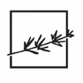 marble+vine logo